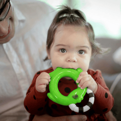 Newborn Baby Toys - Rattle Set for Infants 6 Months & Above - Essential Sound Making Baby Toy Gift Box